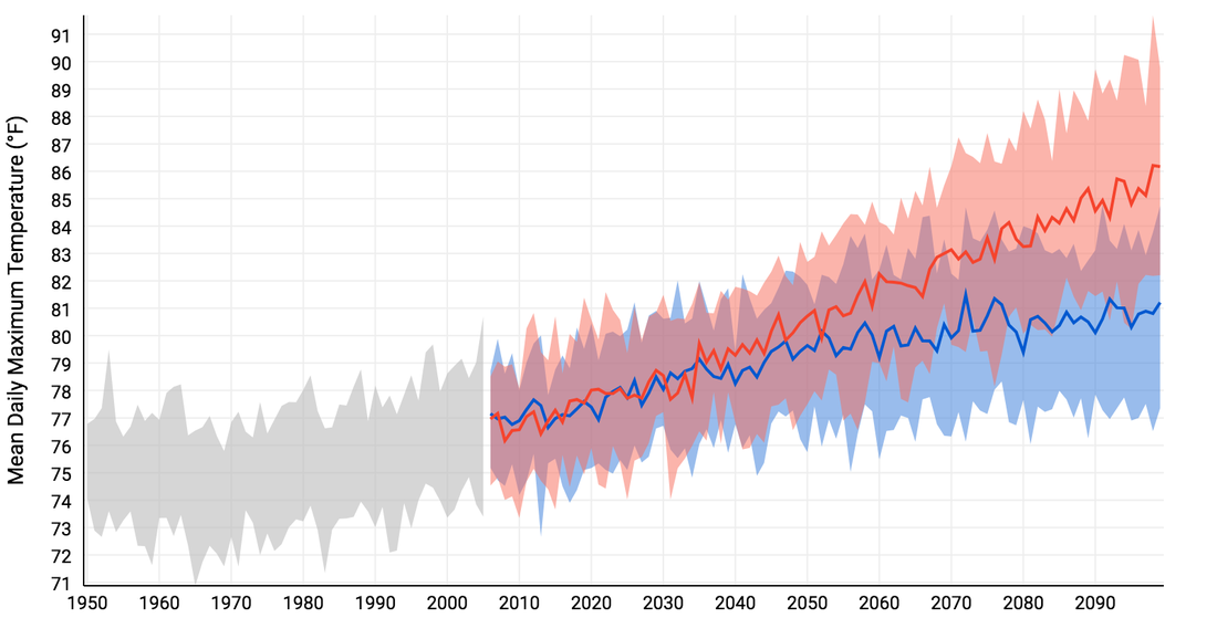 Average daily maximum temperatures in Mohave County, Arizona. Grey shows the historical trend since 1950. Red shows the projection for a future with higher emissions, and blue with lower emissions. Source: NOAA U.S. Climate Resilience Toolkit (Climate Explorer).