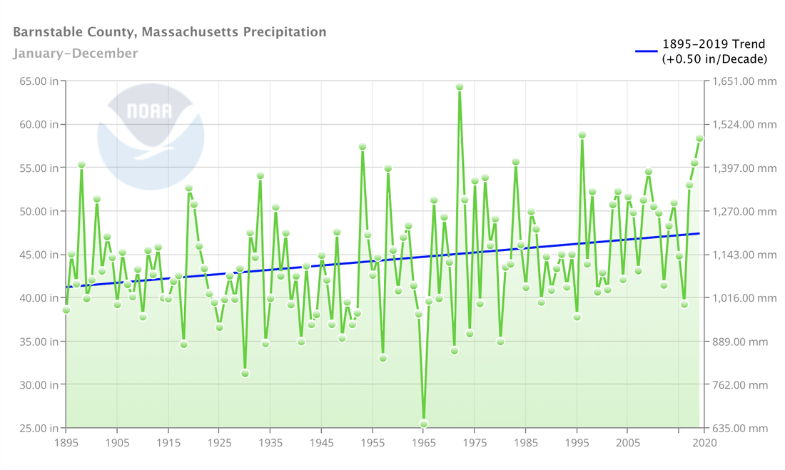 Average annual precipitation in Barnstable County from 1895 to the present. Source: NOAA Climate at a Glance.