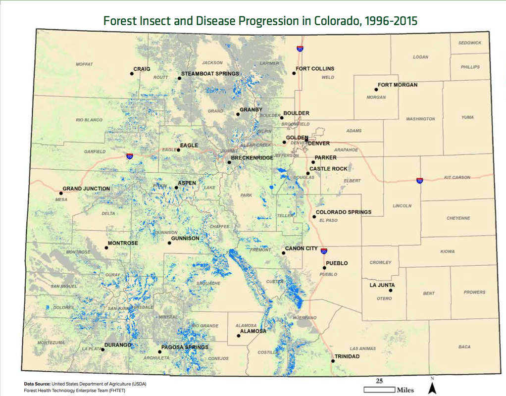 Map showing the amount of forests in Colorado that have been affected by diseases or insects from 1996-2015. The grey shading indicates forests that were affected from 1996-2014, and the blue color indicates forests that were newly affected in 2015. This map was produced from aerial data and provided by the United States Department of Agriculture. Source: Colorado State Forest Service.