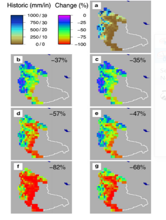 Predicted change in Snow Water Equivalent in Yakima April 1st. a= Historical data, b&c= 2020s, d&e=2040s, f&g=2080s, A1B and B1 SRES models. Source: Elsner et al.